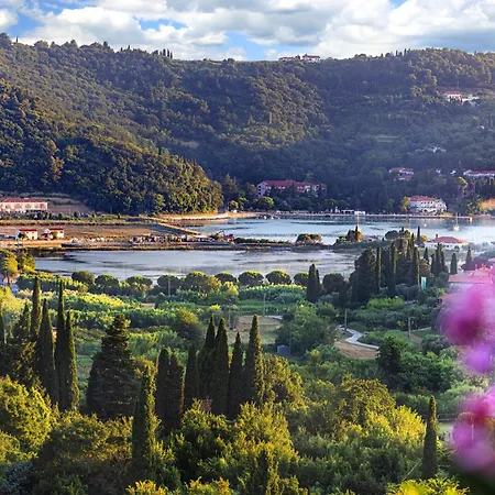 House Olive Garden Apartma