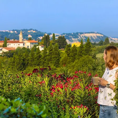 Daire House Olive Garden