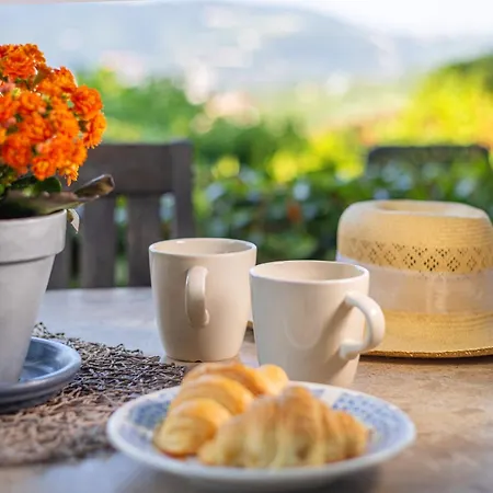 House Olive Garden Daire *