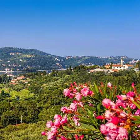 House Olive Garden Daire