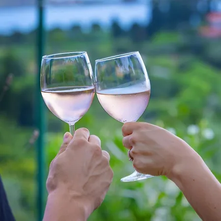 Daire House Olive Garden Strunjan