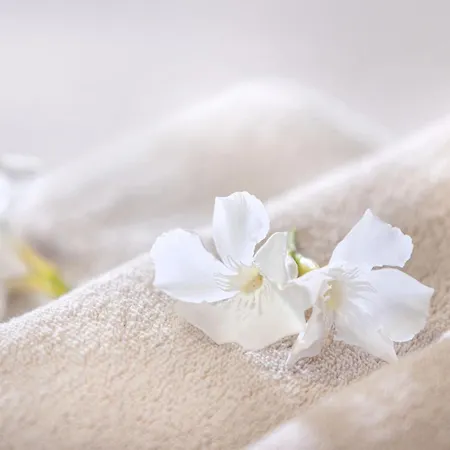 House Olive Garden سترونجان