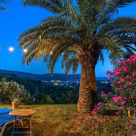 House Olive Garden Daire