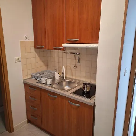 Apartment House Olive Garden Strunjan