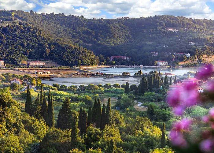 House Olive Garden Apartment