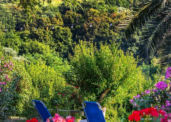 House Olive Garden * Strunjan