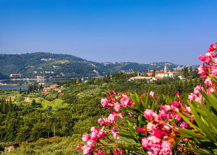 House Olive Garden Apartment