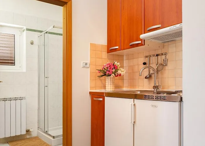 House Olive Garden Διαμέρισμα Strunjan