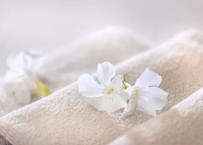 House Olive Garden ストゥルニャン