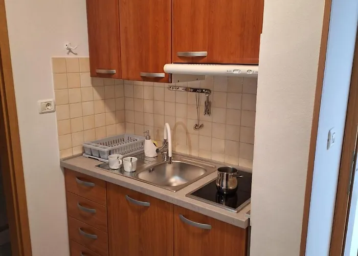 Διαμέρισμα House Olive Garden Strunjan